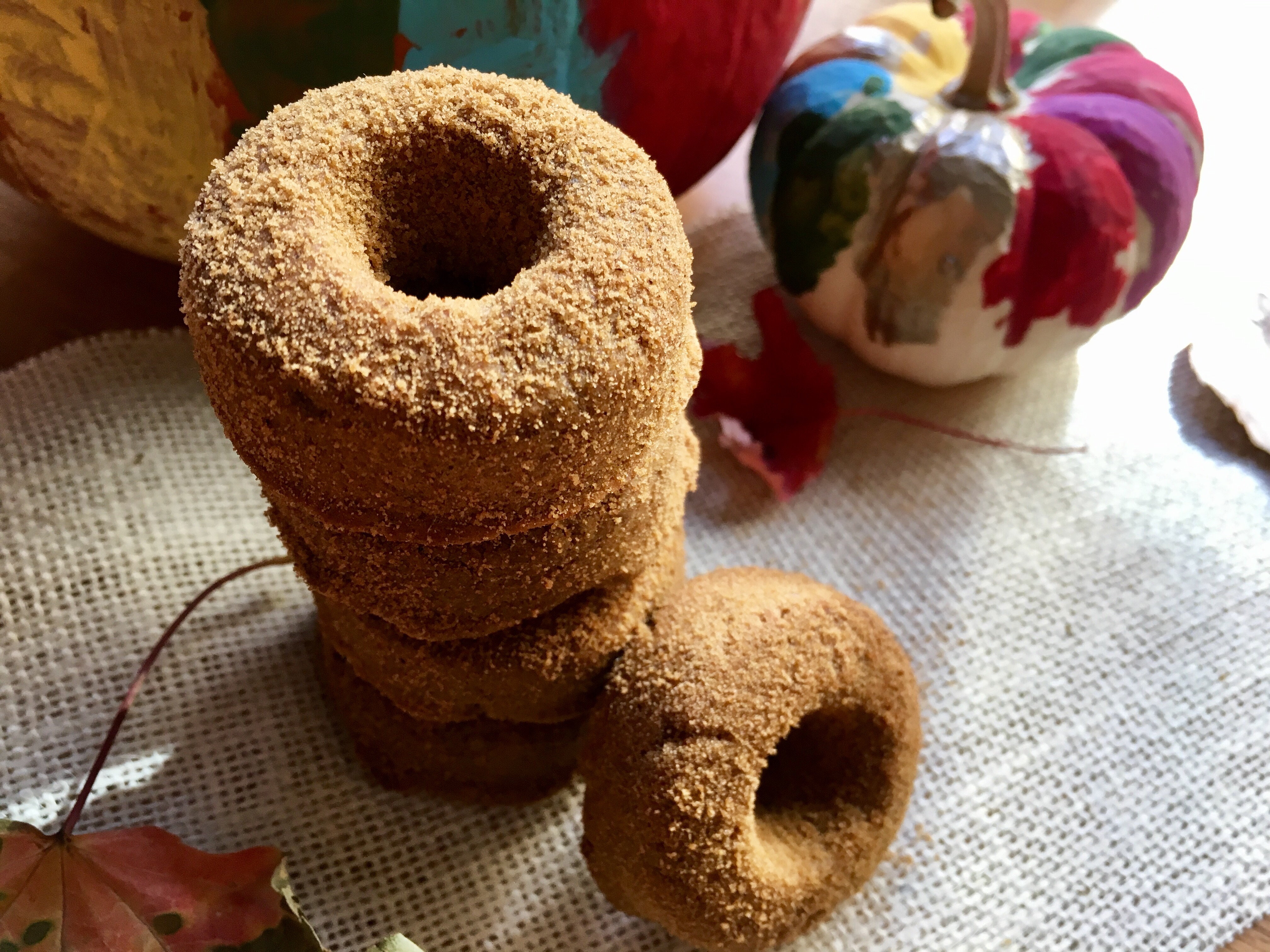 Baked Cinnamon Mini Donuts {AIP, Vegan}